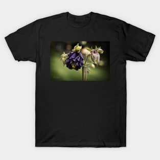 Purple Columbine T-Shirt